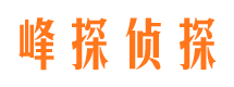 莱山调查公司